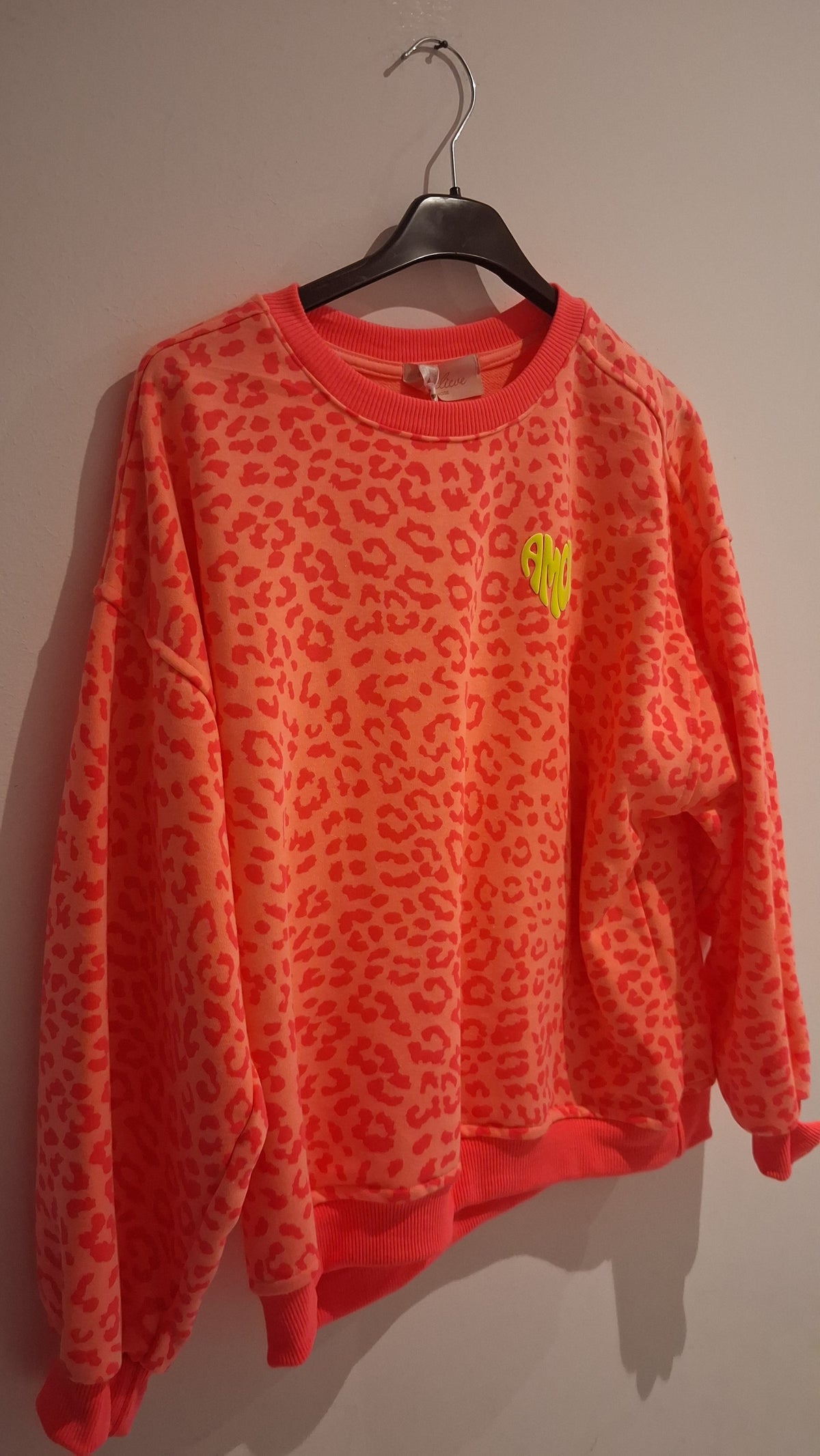 Kinder Leo Puli 9-12 Jahre